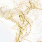 Marketing sensorial: El poder de los sentidos