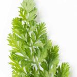 Lo natural no siempre es inocuo