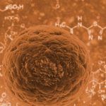 Conservación de cosméticos: factores clave que debes tener en cuenta