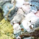 Conservantes en cosmética natural