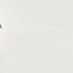 “Greenwashing” o cómo tu empresa de cosmética favorita pretende ser verde