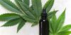 Cbd o cannabidiol en cosmetica natural