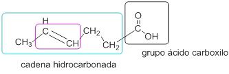 cadena hidrocarbonada