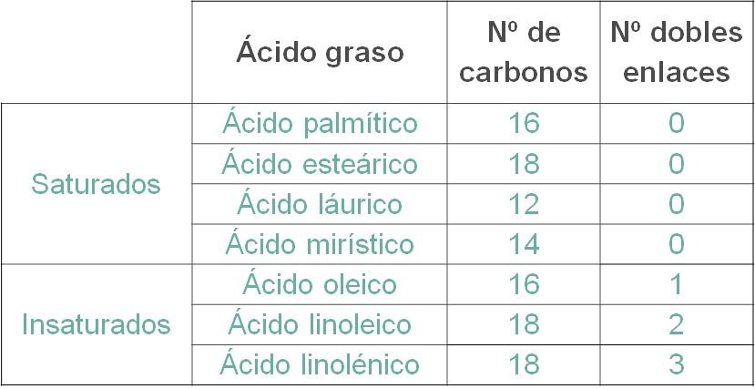ácidos grasos insaturados y saturados