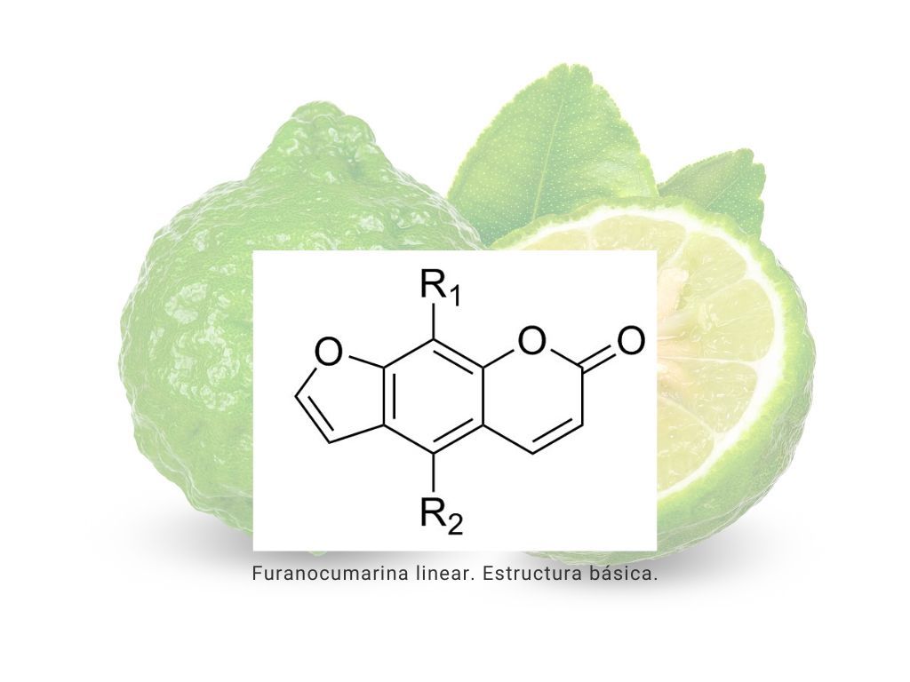 Fototoxicidad_furanocumarina