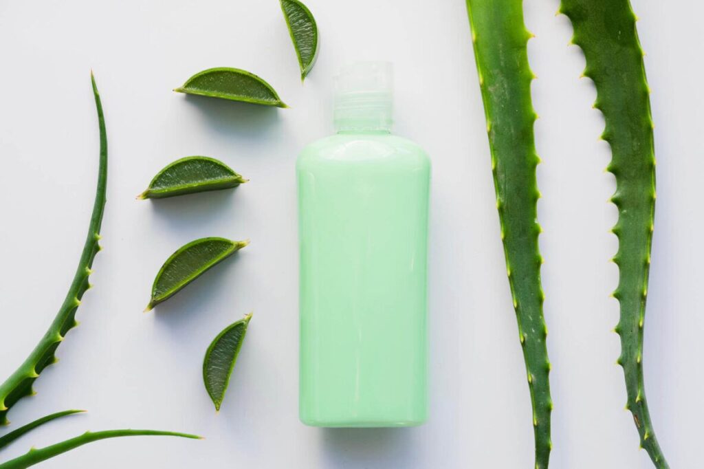 aloe-vera-cosmetica (1)