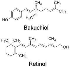 Bakuchiol_fórmula