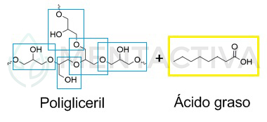 cómo formular ésteres de poliglicerol