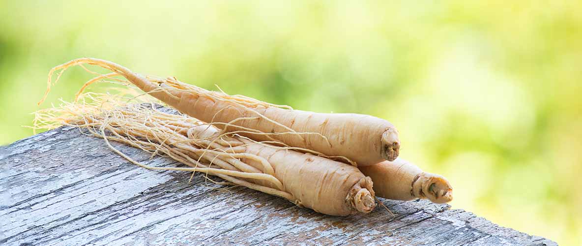 ginseng en cosmética