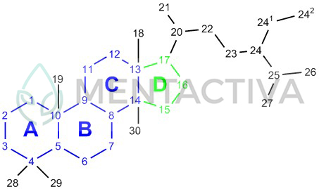 esteroide