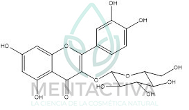 usos flavonoides cosmetica