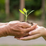 Etiqueta Ecolabel en cosmética